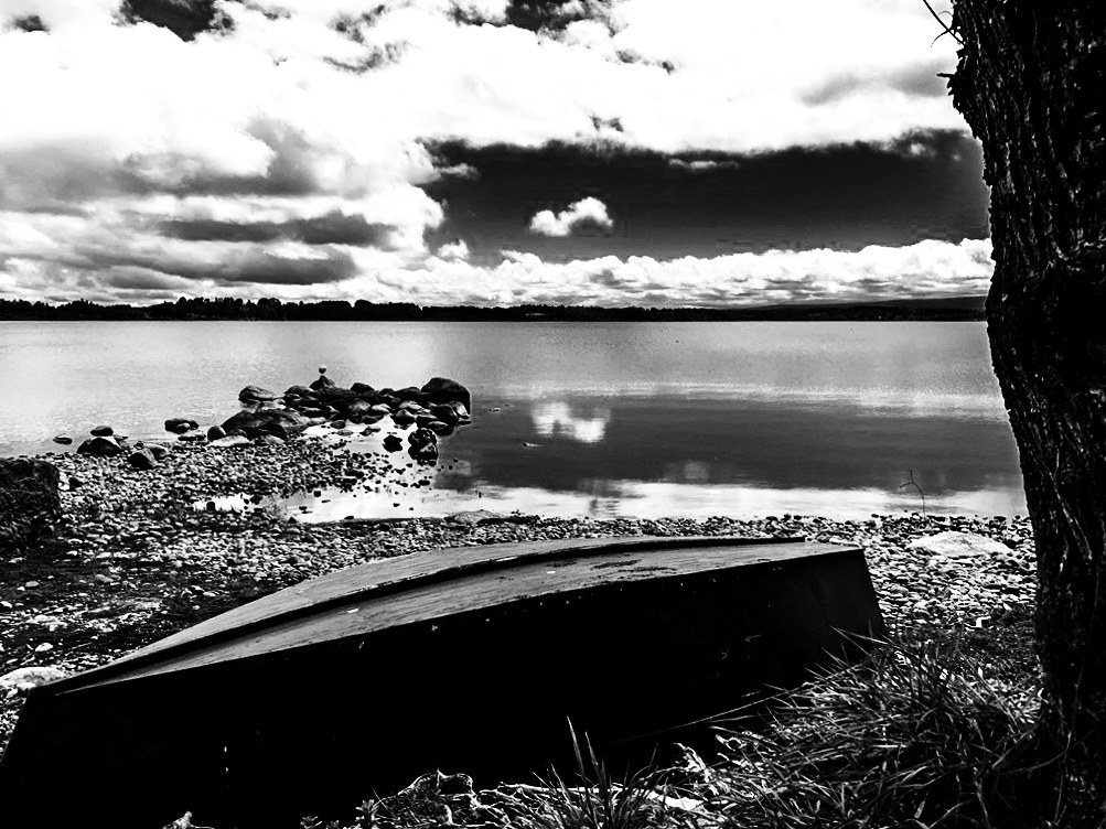 El lago Puyehue desde Entre Lagos, a 30 minutos del predio